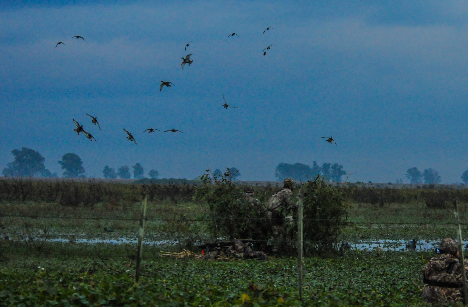 Duck hunting Entre R&iacute;os