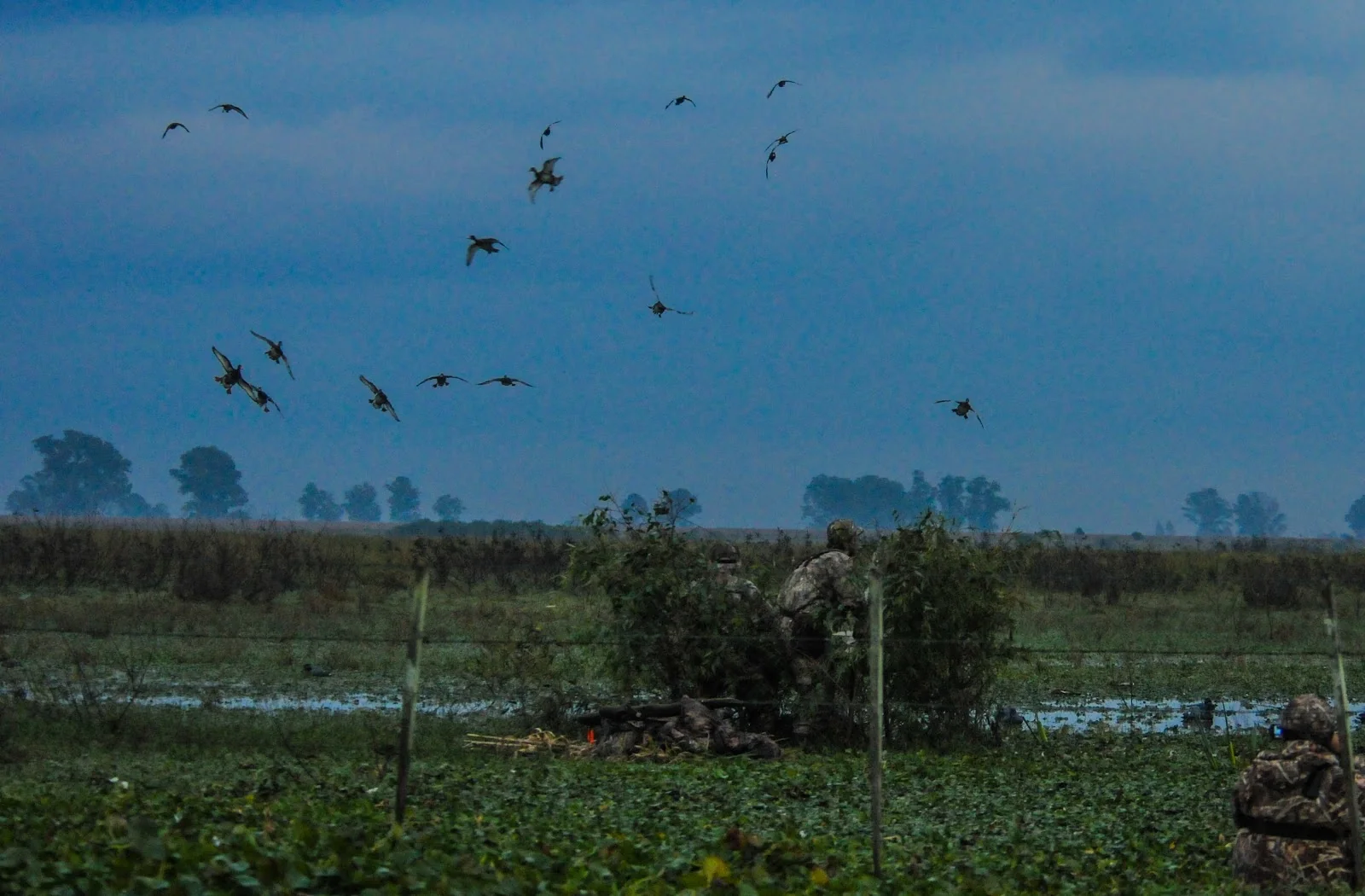 Duck hunting Entre R&iacute;os