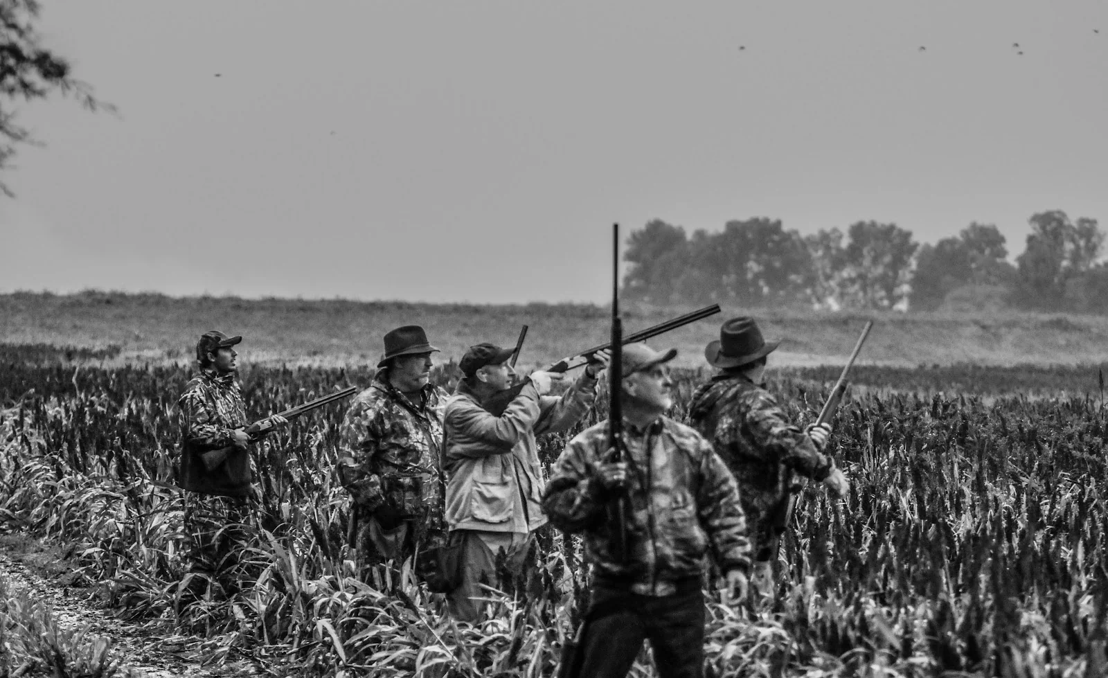 Entre Ríos hunting fields